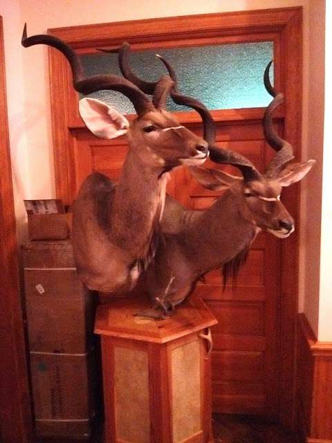 God's Creation Wildlife Museum God's Creation Wildlife Museum